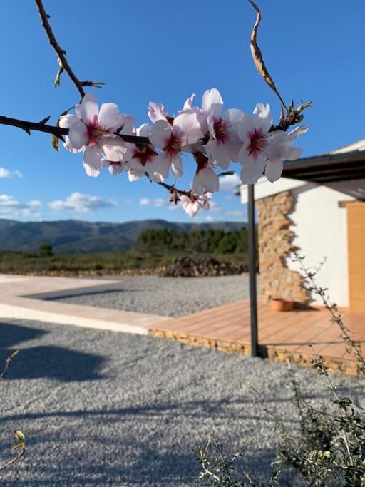La Llobatera Casa Rural Les Coves de Vinroma Exterior photo